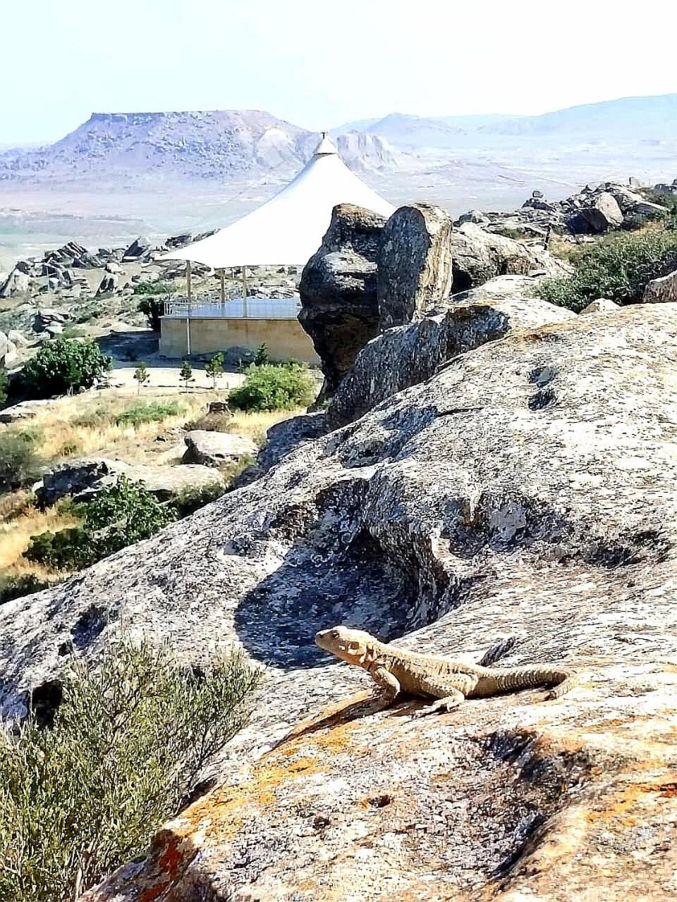 Baku "Black Mountain" Guest House Sangachal Εξωτερικό φωτογραφία